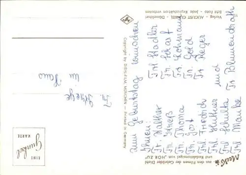 Ak Mecki der Igel, Herzliche Gratulation, Blumenstrauß, Rosen