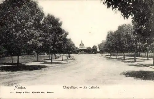 Ak Ciudad de Mexico Mexico City Mexiko Stadt, Chapultepec, La Calzada