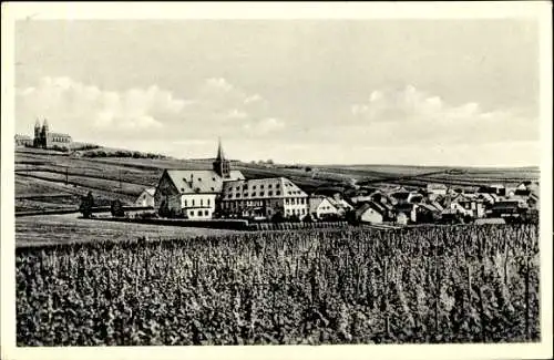 Ak Eibingen Rüdesheim am Rhein, Weinhaus Fengel, Weinreben, Panorama