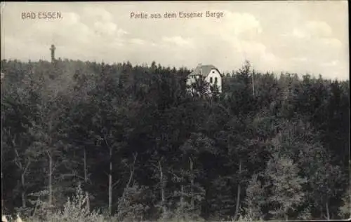 Ak Bad Essen in Niedersachsen, Essener Berge, Turm