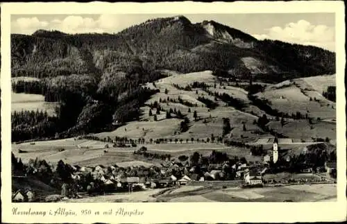 Ak Nesselwang im Allgäu, Alpspitze, Panorama