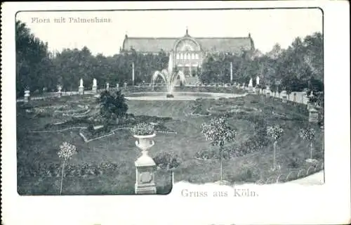 Ak Köln am Rhein, Flora, Palmenhaus