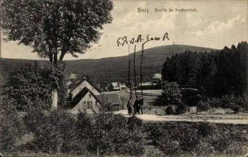 Ak Auerhahn Hahnenklee Bockswiese Goslar am Harz, Panorama