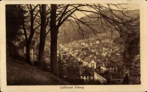 Ak Triberg im Schwarzwald, Gesamtansicht