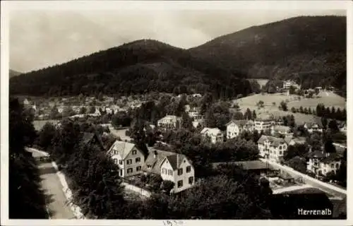 Ak Bad Herrenalb im Schwarzwald, Teilansicht