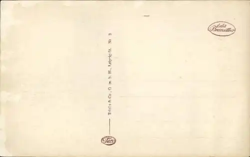 Ak Konstanz am Bodensee, Rathaushof, Blumenbeet