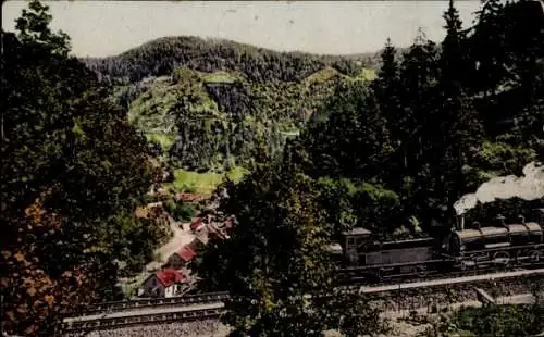 Ak Triberg im Schwarzwald, Schwarzwaldbahn beim Bachjörg, Dampflok