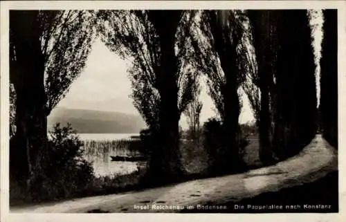 Ak Konstanz am Bodensee, Pappelallee Konstanz-Reichenau