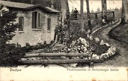 Ak Itzehoe in Schleswig Holstein, Fischbrutanstalt im Breitenburger Gehölz