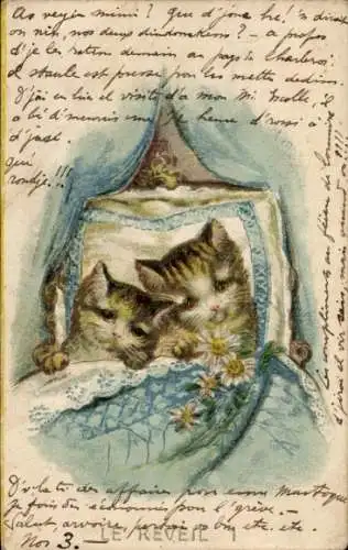 Ak Zwei Katzen schlafen im Bett, Blumen, Kissen, Decke