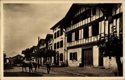 Ak Ainhoa Pyrénées Atlantiques, Dorfstraße