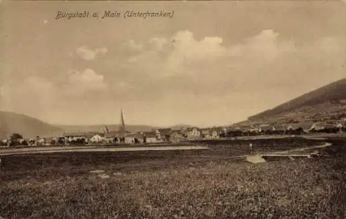 Ak Bürgstadt in Unterfranken, Gesamtansicht