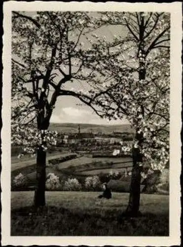 10 alte Fotos Blieskastel im Saarland, im passenden Heft, diverse Ansichten