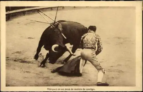 12 alte Ak Stierkampf, diverse Ansichten