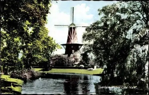 8 alte Ak Windmühlen, diverse Ansichten