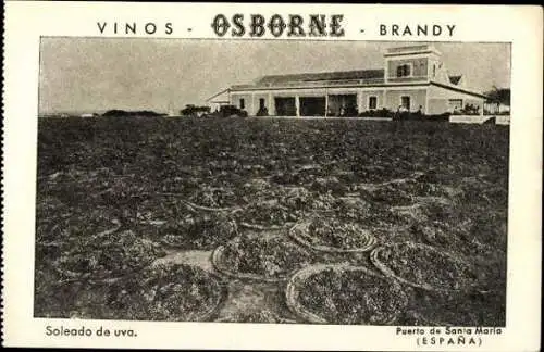 10 alte Ak Werbung Vinos Osborne Brandy, Puerto de Santa Maria Spanien, diverse Ansichten