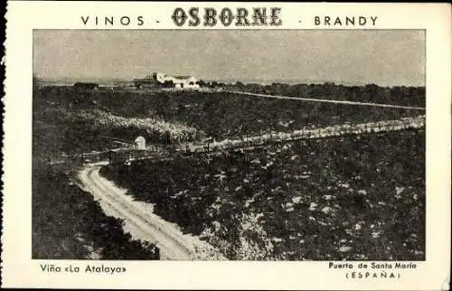 10 alte Ak Werbung Vinos Osborne Brandy, Puerto de Santa Maria Spanien, diverse Ansichten