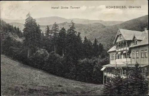 Ak Hohegeiß Braunlage im Oberharz, Hotel Dicke Tannen 