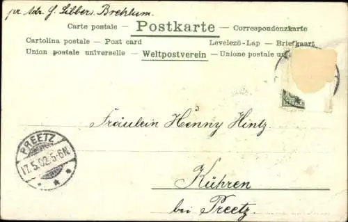 Litho Katze und Hunde jagen Maikäfer, Fliegen, Glückwunsch Pfingsten