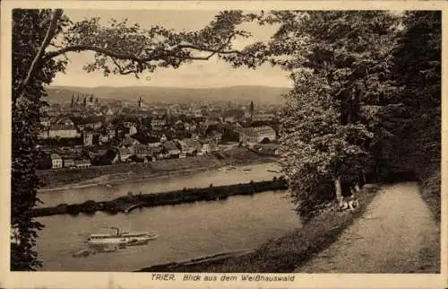 Ak Trier an der Mosel, Teilansicht, Blick aus dem Weißhauswald, Dampfschiff