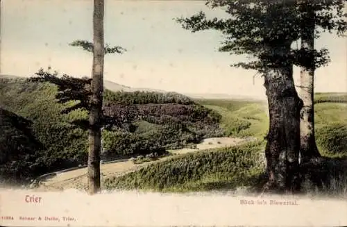 Ak Trier an der Mosel, Blick in's Biewertal