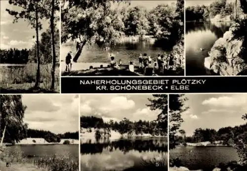 Ak Plötzky Schönebeck an der Elbe, Giselasee, Kleiner Waldsee, Silbersee, Kolumbussee, Edersee