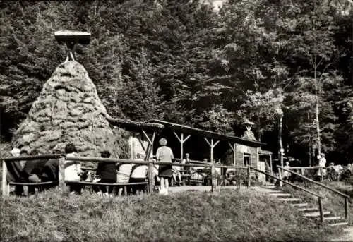 Ak Wernigerode im Harz, Köhlerhütten, Voigtstieg