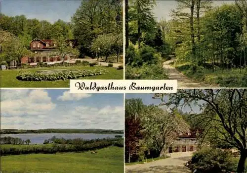 Ak Bistensee Eckernförde, Waldgasthaus Baumgarten, Seeblick, Waldpartie