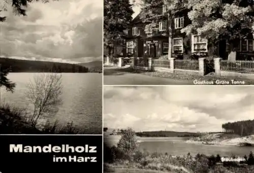 Ak Mandelholz Elend Oberharz am Brocken, Gasthaus Grüne Tanne, Staubecken