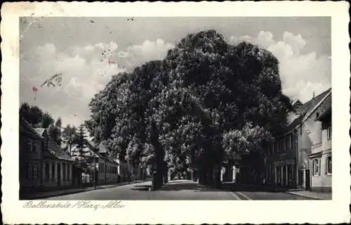 Ak Ballenstedt im Harz, Allee