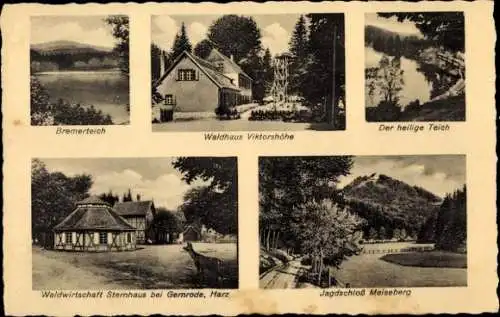 Ak Gernrode Quedlinburg im Harz, Bremerteich, Waldhaus Viktorshöhe, Sternhaus, Jagdschloss Meiseberg