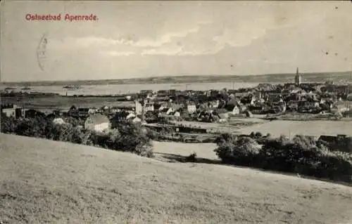 Ak Aabenraa Apenrade Dänemark, Panorama