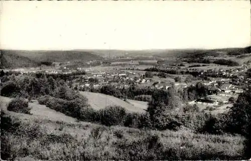 Ak Eloyes Vosges, Panorama