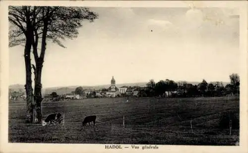 Ak Hadol Vosges, Panorama, Kühe