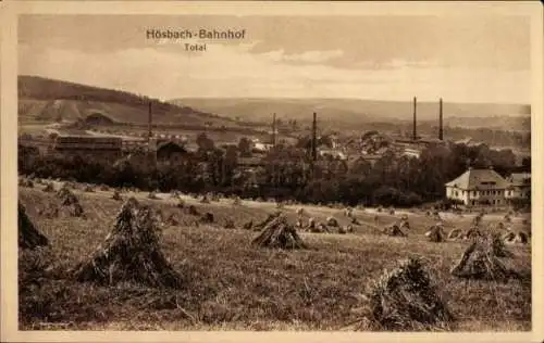 Ak Hösbach in Unterfranken Bayern, Bahnhof, Totalansicht von Ort