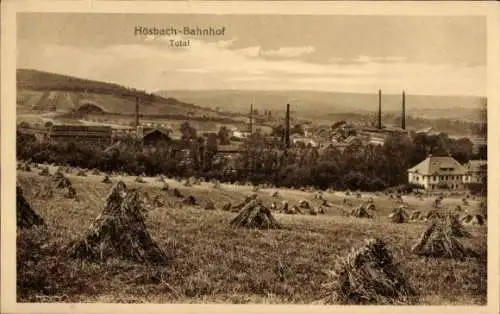 Ak Hösbach in Unterfranken Bayern, Bahnhof, Totalansicht von Ort