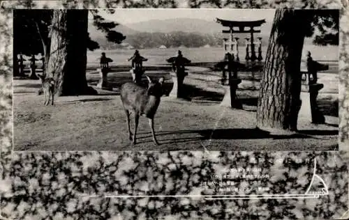 Ak Insel Miyajima Hatsukaichi Präfektur Hiroshima Japan, Itsukushima-Schrein