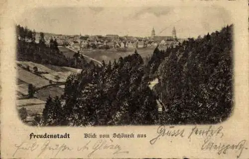 Ak Freudenstadt im Schwarzwald, Panoramamblick vom Schöneck aus