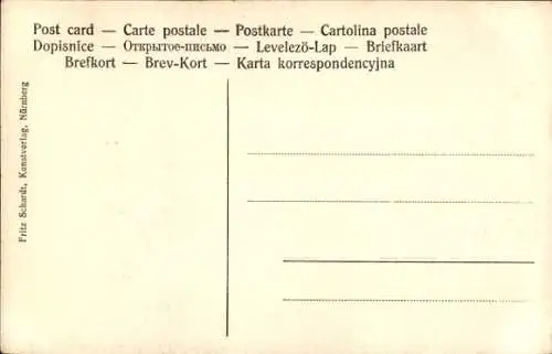 Ak Nürnberg in Mittelfranken, Schlagturm, Panorama, Burg, Tiergärtner Tor