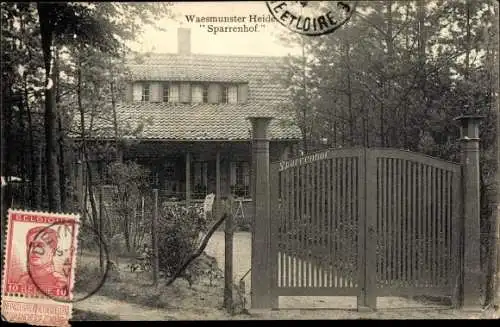 Ak Waasmunster Ostflandern, Waasmunster Heide, Sparrenhof