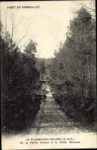 Ak Foret de Rambouillet Yvelines, De la Pierre Ardoue a la Vallee Moussue