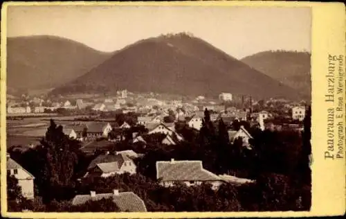 CdV Bad Harzburg am Harz, Panorama, 1882