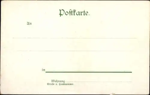 Litho Dresden Loschwitz, Albrechtssburgen, Eildampfer sächs. bohm. Dampfschifffahrt, Sächs. Schweiz