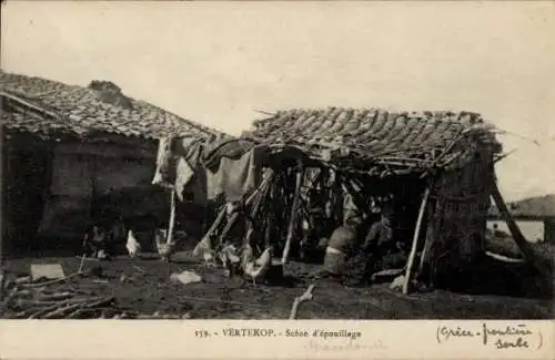 Ak Vertekop Griechenland, Entlausungsszene