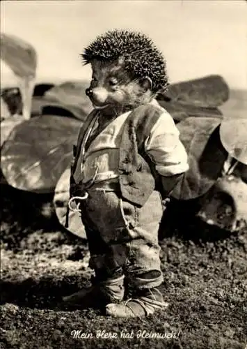 Ak Mecki der Igel, Mein Herz hat Heimweh