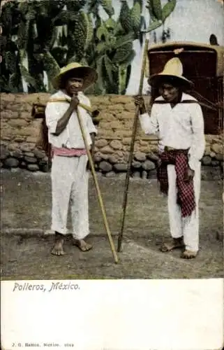 Ak Tampico Mexiko, Polleros