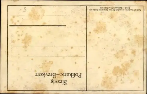 Künstler Ak Flensburg in Schleswig Holstein, Volksabstimmung 1920