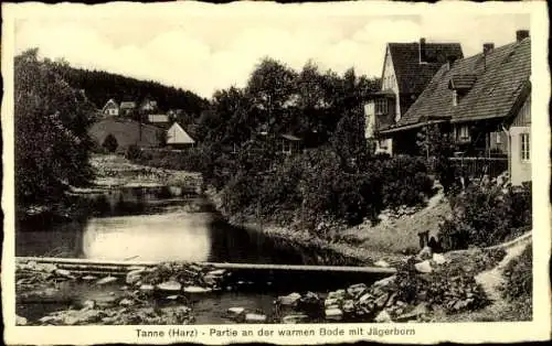 Ak Tanne Oberharz am Brocken, An der warmen Bode, Jägerborn