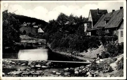 Ak Tanne Oberharz am Brocken, An der warmen Bode, Jägerborn