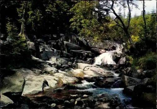 Ak Braunlage im Oberharz, Bode-Wasserfall